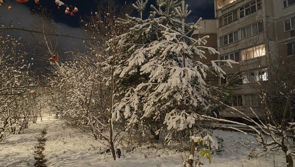 Когда настоящая зима окончательно придёт в Подмосковье