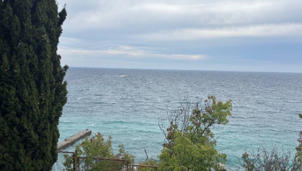 У берегов Крыма в Чёрном море замечено необычное природное явление