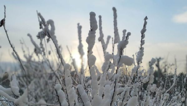 Морозы в Москве и Подмосковье выйдут на максимум в этот день