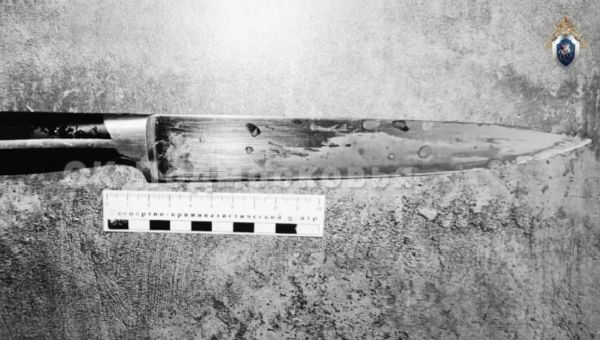 В Чехове местный житель убил своего пасынка