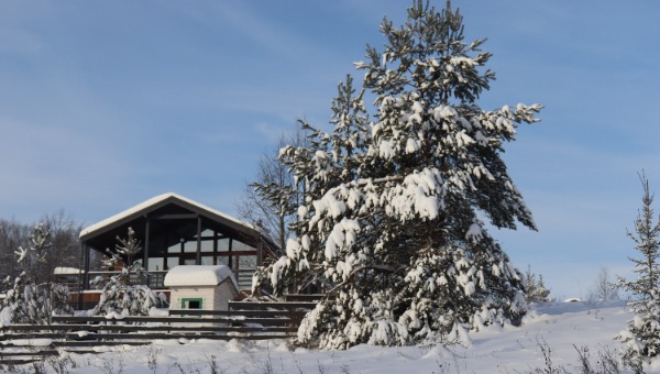 Когда лютые морозы в Подмосковье начнут спадать