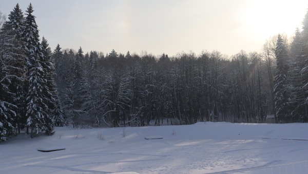 Тело рыбака нашли на водоёме в Подмосковье