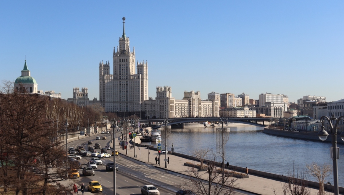 На улицах Москвы скоро появится сто симпатичных «львят»