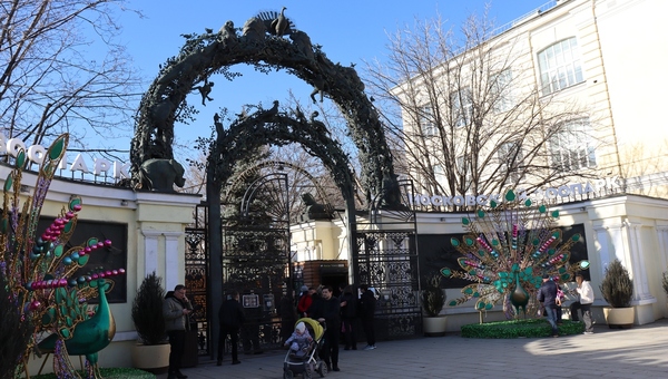 Матрос стал отцом крошечного плаксы в Московском зоопарке
