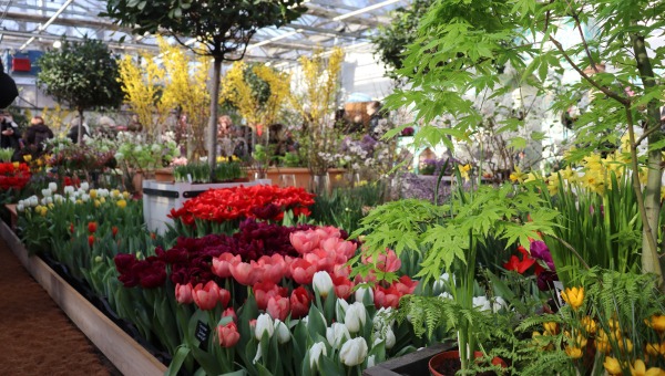 В Москве люди готовы часами стоять в очереди, чтобы увидеть последние дни красоты