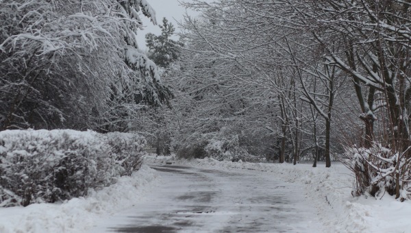 Сугробы до 5 сантиметров наметёт в Подмосковье в этот день