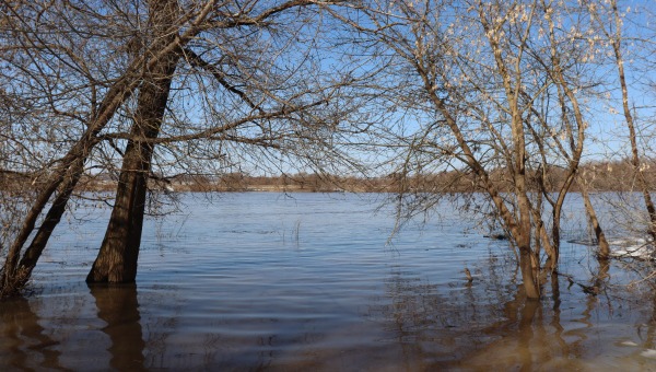 Оранжевый уровень опасности объявлен в Подмосковье из-за разлива рек