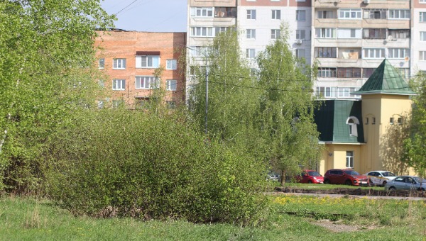 Интригующая примета 1 мая: не стоит расстраиваться, если в праздник холодно