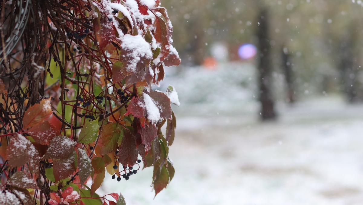Первый снег в Подмосковье может пойти уже в эти даты