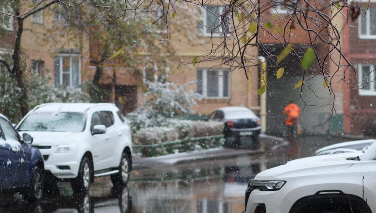 Когда в Подмосковье выпадет снег? Всё внимание — на деревья вишни