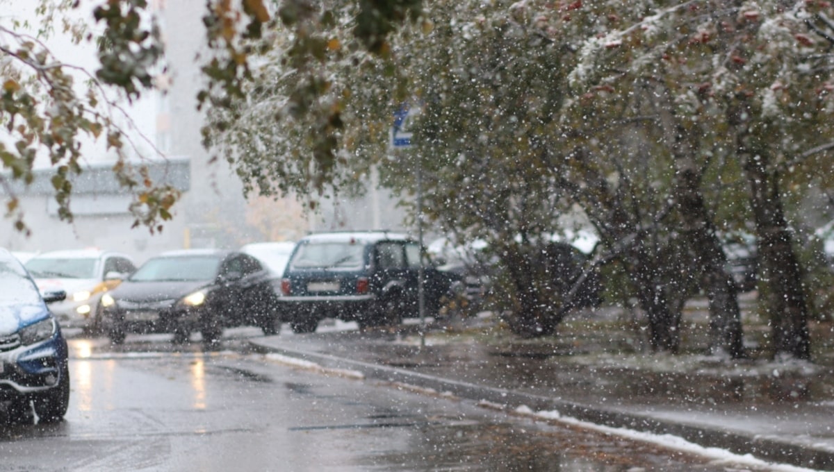 Роман Вильфанд честно ответил, ждать ли снег в Подмосковье на следующей неделе