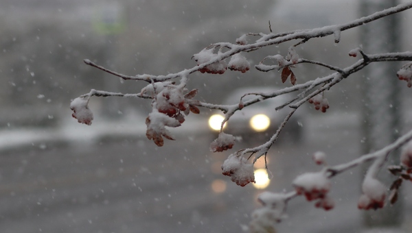 Если 23 октября слякоть и грязь — жди такого продолжения осени