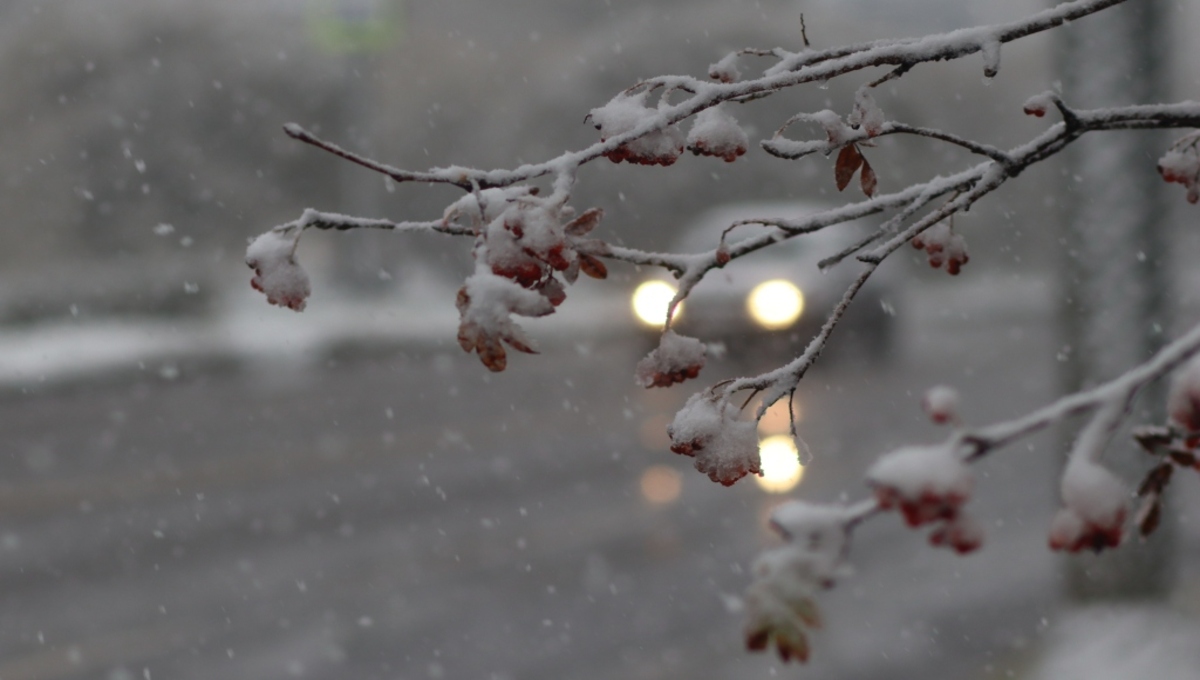 Три мерзких погодных явления надвигаются на Подмосковье и столицу