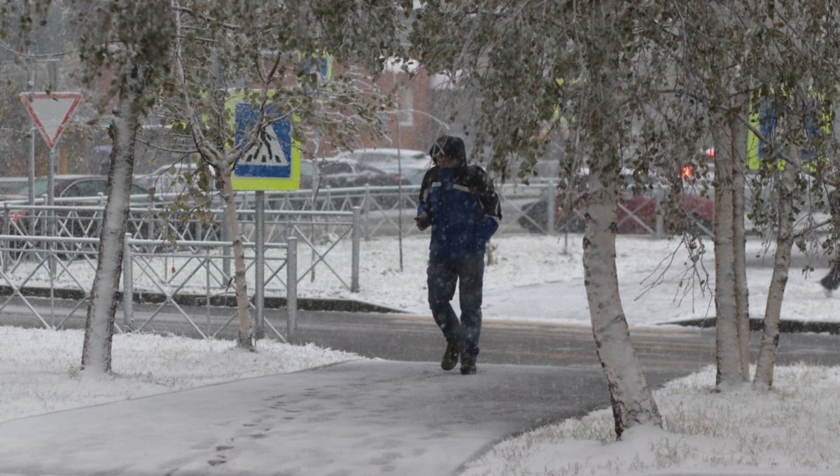 Глава Гидрометцентра ответил, ждать ли скорого снега в Москве и Подмосковье