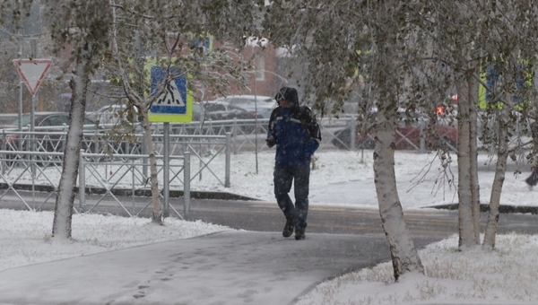 Глава Гидрометцентра ответил, ждать ли скорого снега в Москве и Подмосковье