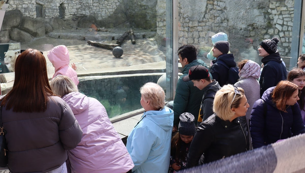 Любимицы публики из Московского зоопарка стали неузнаваемы