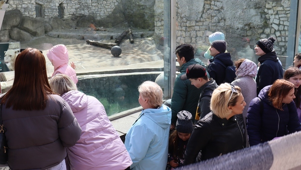 Любимицы публики из Московского зоопарка стали неузнаваемы