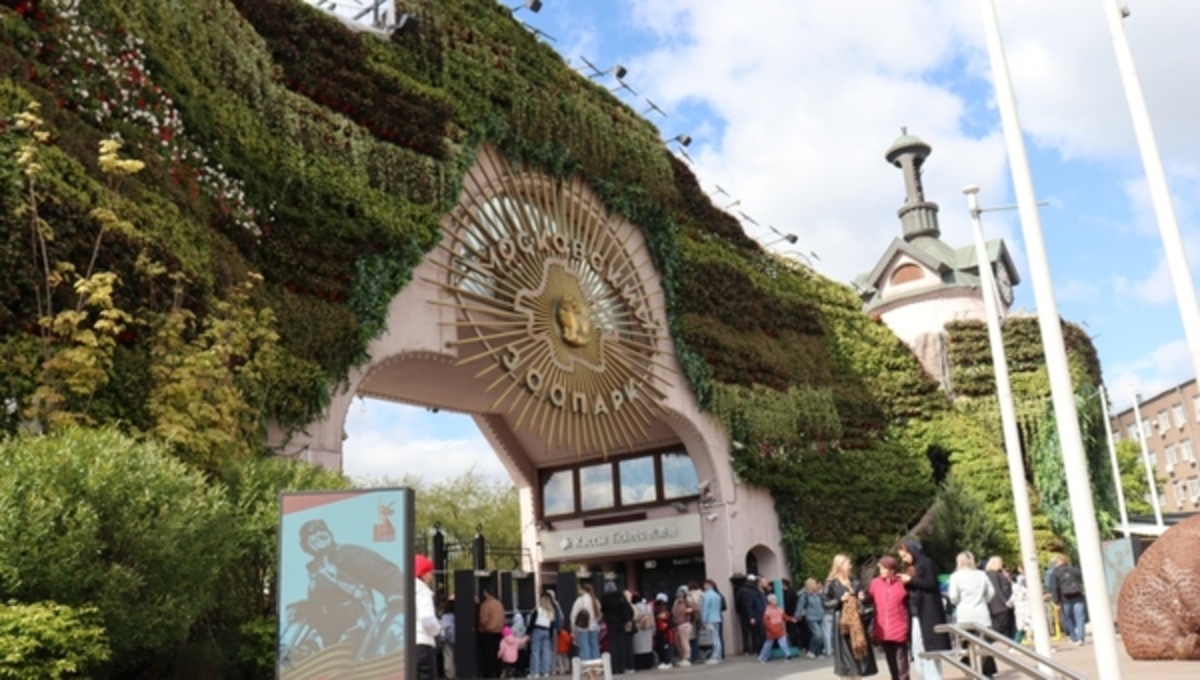 Восемь измученных животных пытаются вернуть к жизни в Московском зоопарке