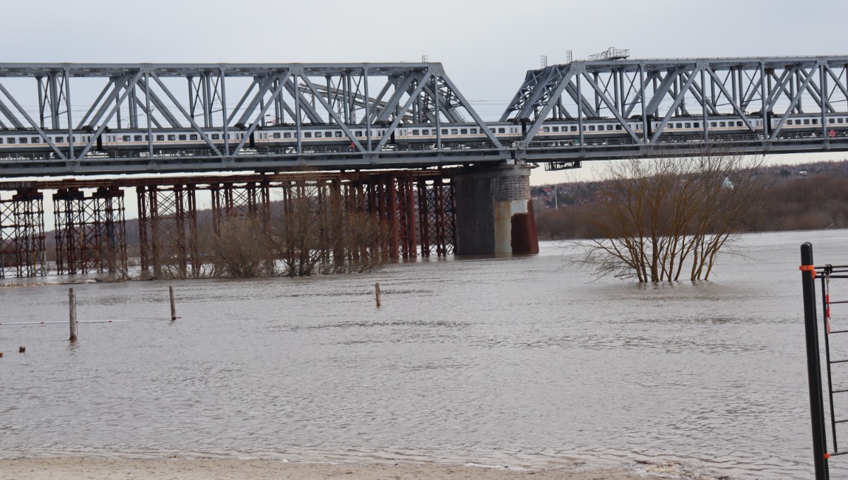 Половодье неизбежно: в Серпухове за сутки Ока поднялась на 11 см