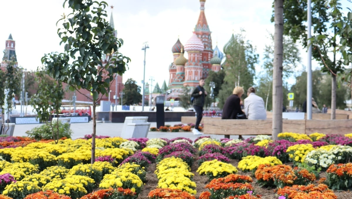 Сильная народная примета на 4 октября укажет погоду на 4 недели вперёд