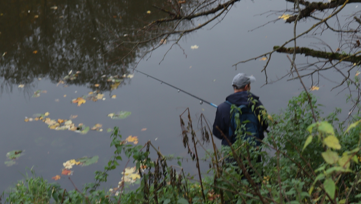 В Подмосковье начинает клевать одна из самых непредсказуемых рыб