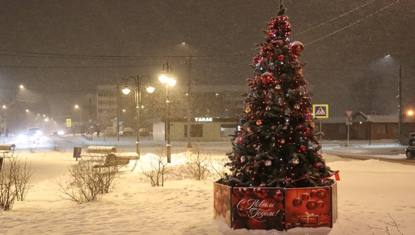 Научный руководитель Гидрометцентра Вильфанд определился с погодой на 31 декабря