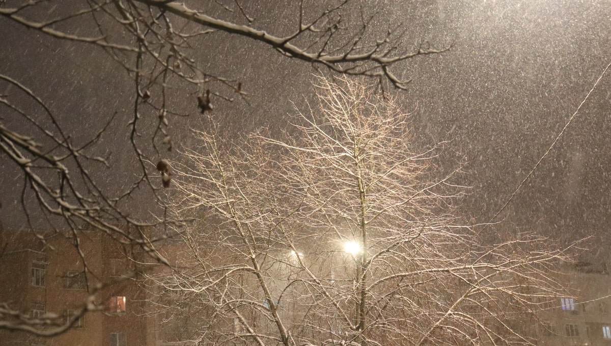 Снегопады в Подмосковье возобновятся в этот день