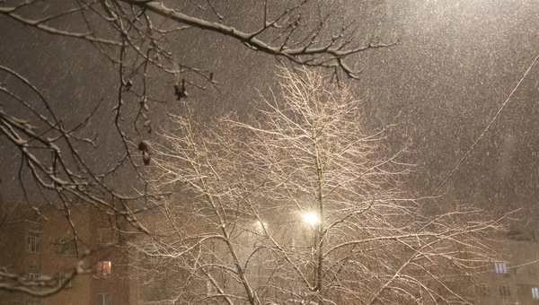 Снегопады в Подмосковье возобновятся в этот день