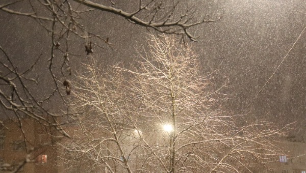 Расписание снегопадов в конце февраля в Подмосковье