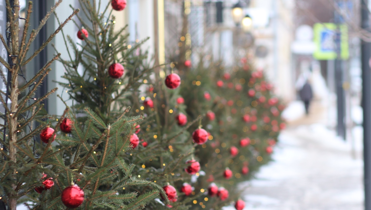 Как правильно встречать 2026 год. Два варианта от астрологов