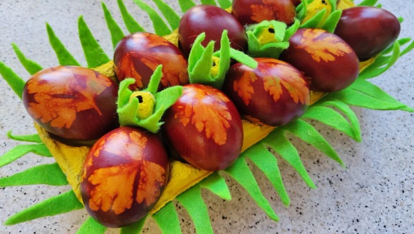 Сколько яиц безопасно съесть за один день — совет врача