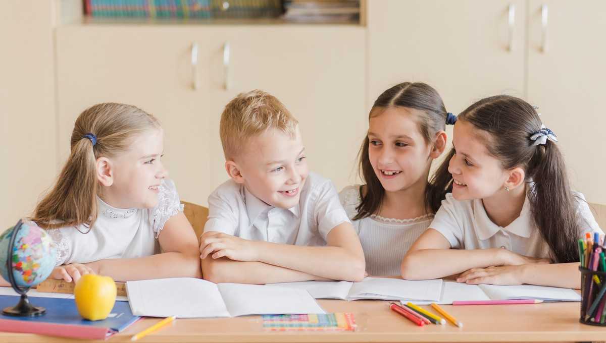 С 2026 года в российских школах вводится новый обязательный предмет 