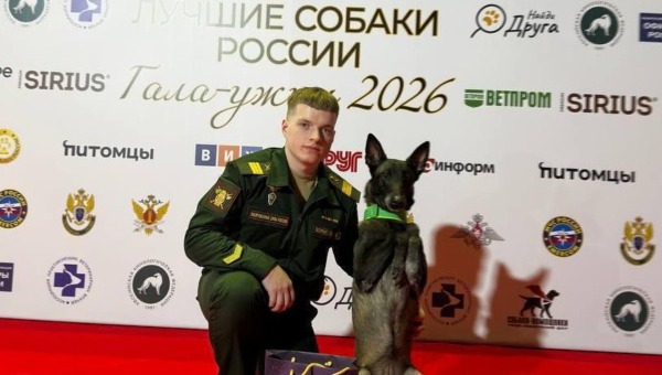 Мира из Серпухова стала лучшей собакой России