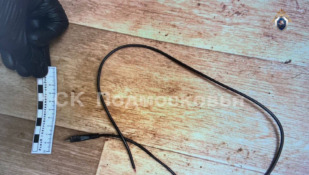 В Подмосковье совершено убийство зарядкой для телефона