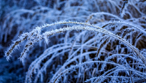 Гидрометцент: пик морозов в Подмосковье придётся на этот день