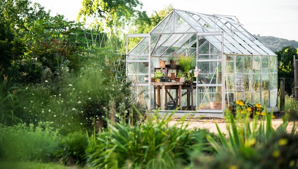 Как изменились цены на дачи в Подмосковье в 2026 году