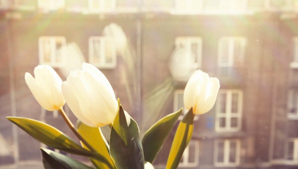 Природа приготовила долгожданный подарок жителям Подмосковья — настроение взлетит до небес