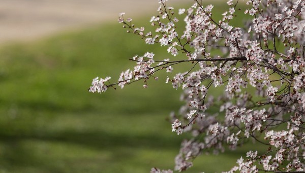 Когда в Подмосковье придёт климатическая весна