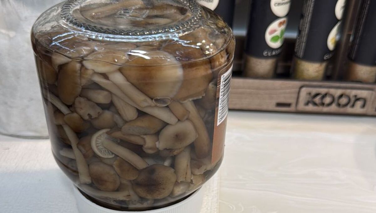 Рецепт консервированных опят без уксуса и лимонной кислоты