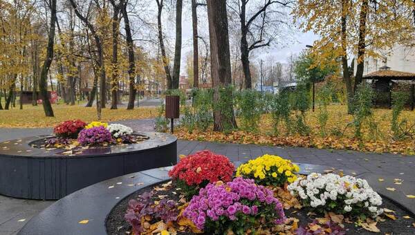 Покров прошёл, а снег не выпал — к чему это?