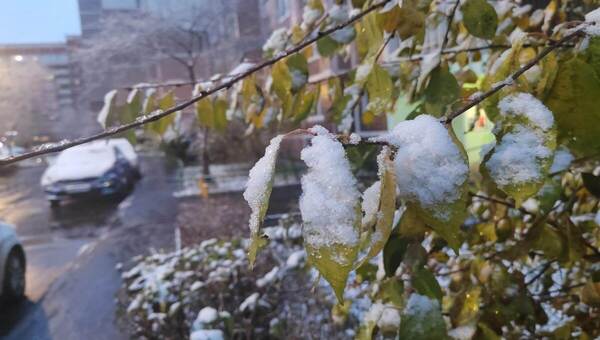 Аномальную погоду в первую декаду ноября обещали Подмосковью