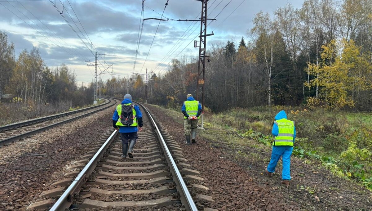 «Мы не сдаёмся!» Поисковики рассказали про поиски 14-летнего мальчика в Подмосковье