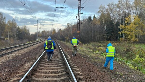 «Мы не сдаёмся!» Поисковики рассказали про поиски 14-летнего мальчика в Подмосковье