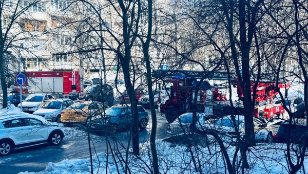 В Подмосковье на пожаре погиб маленький ребёнок