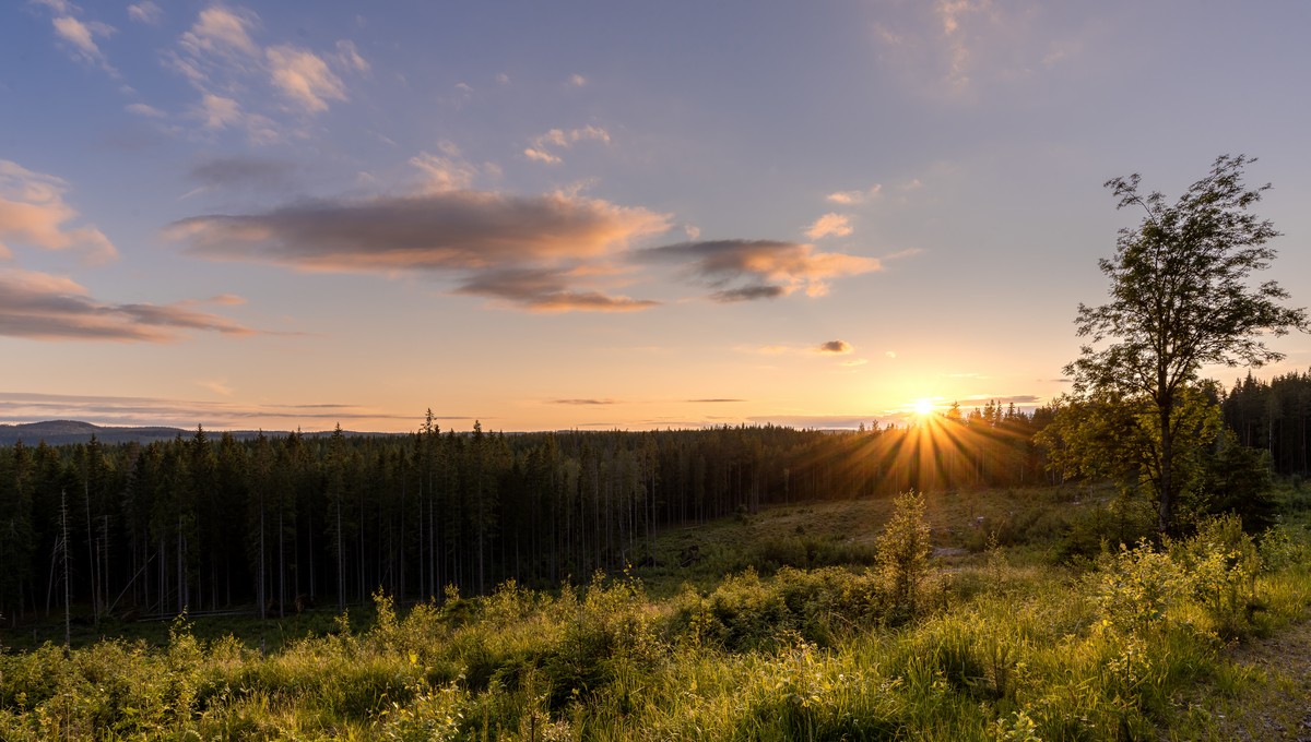 Синоптик Шувалов рассказал о дождях на этой неделе