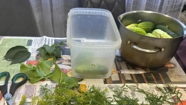 Секрет для самых хрустящих малосольных огурчиков