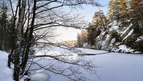 Циклон «сворует» зиму из Подмосковья в декабре-2025