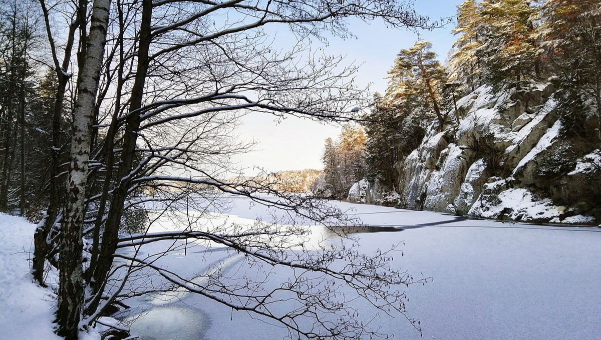 Циклон «сворует» зиму из Подмосковья в декабре-2025