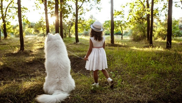Подросткам и пьяным запретили гулять с питбулями и мастифами