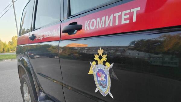 Тёща готовила бывшему зятю в Москве страшную месть